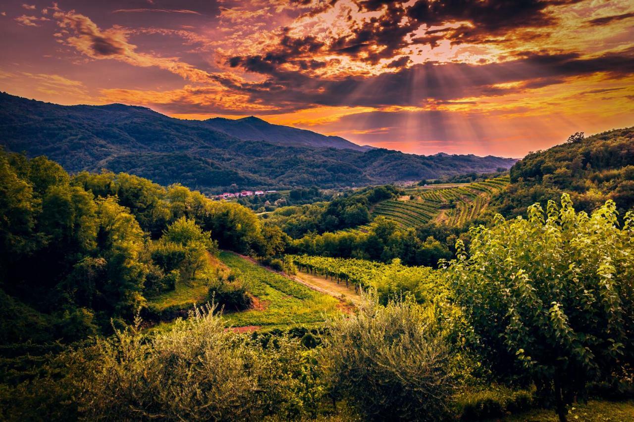 Cebron Family Estate Hotell Branik Exteriör bild